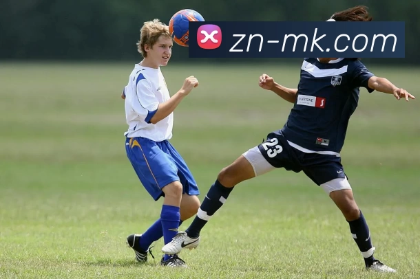 MK体育平台生态图